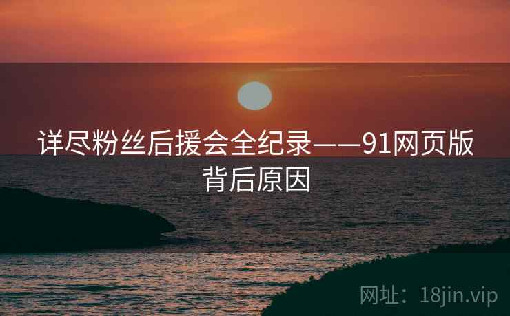 详尽粉丝后援会全纪录——91网页版背后原因
