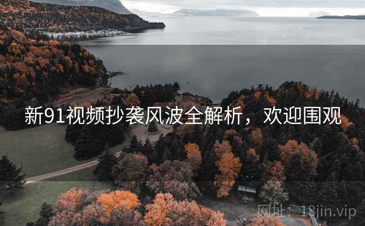 新91视频抄袭风波全解析，欢迎围观