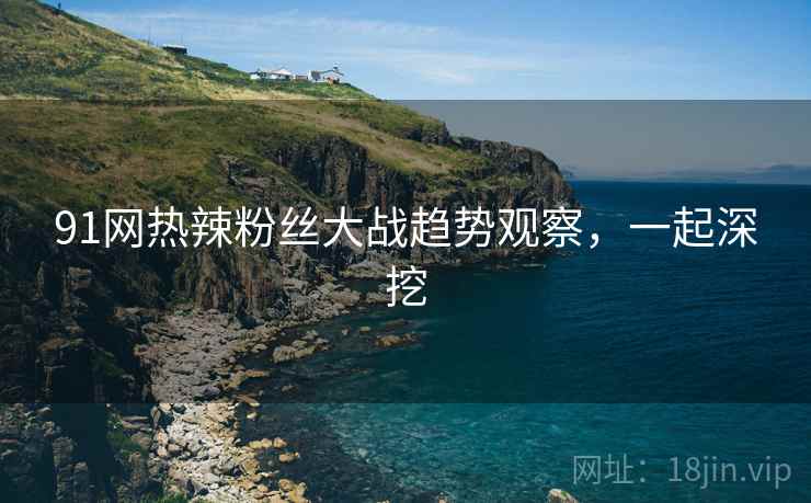 91网热辣粉丝大战趋势观察，一起深挖