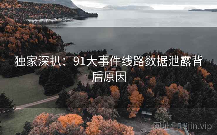 独家深扒：91大事件线路数据泄露背后原因