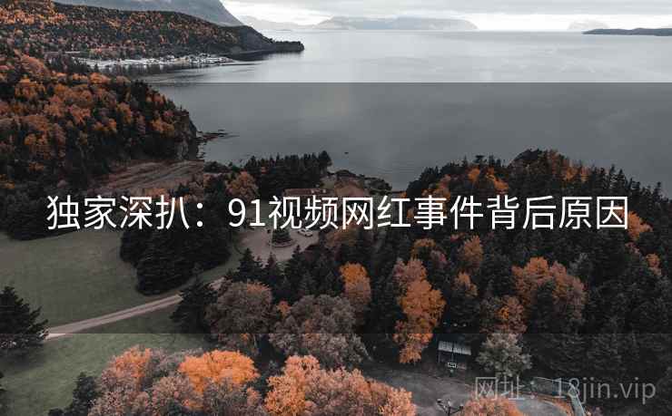 独家深扒：91视频网红事件背后原因