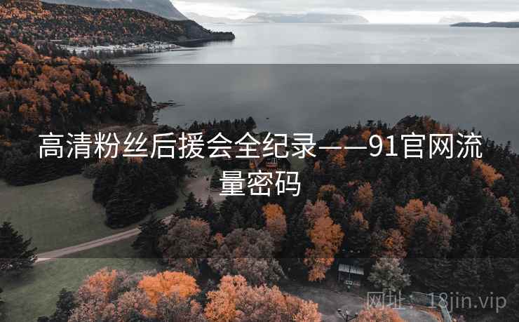 高清粉丝后援会全纪录——91官网流量密码