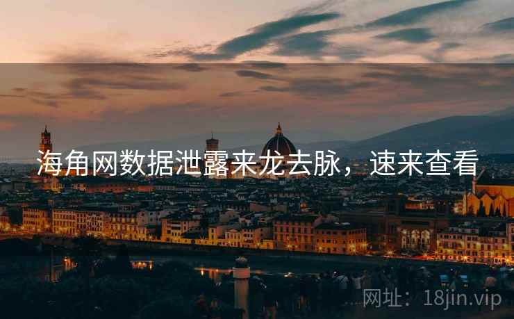 海角网数据泄露来龙去脉，速来查看