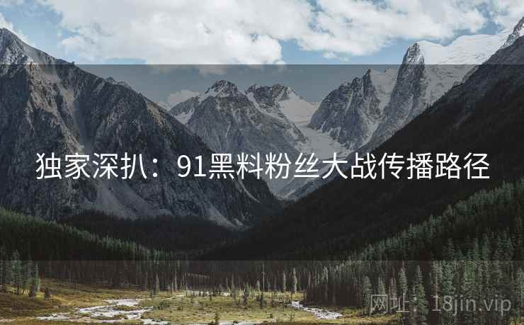 独家深扒：91黑料粉丝大战传播路径